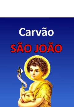 Carvão São João Ribeirão Preto SP