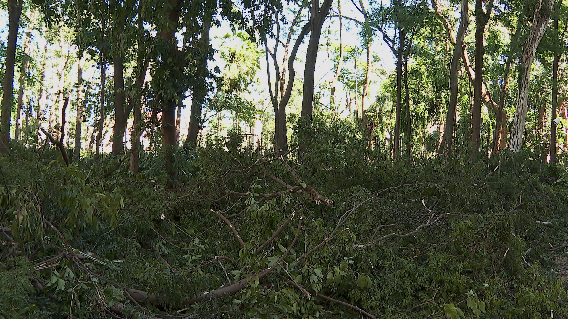 foto Not&iacute;cia Ribeirão Preto